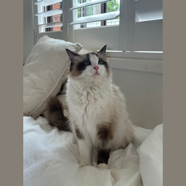 Photo of Princess