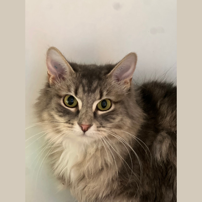 Photo of Fleur