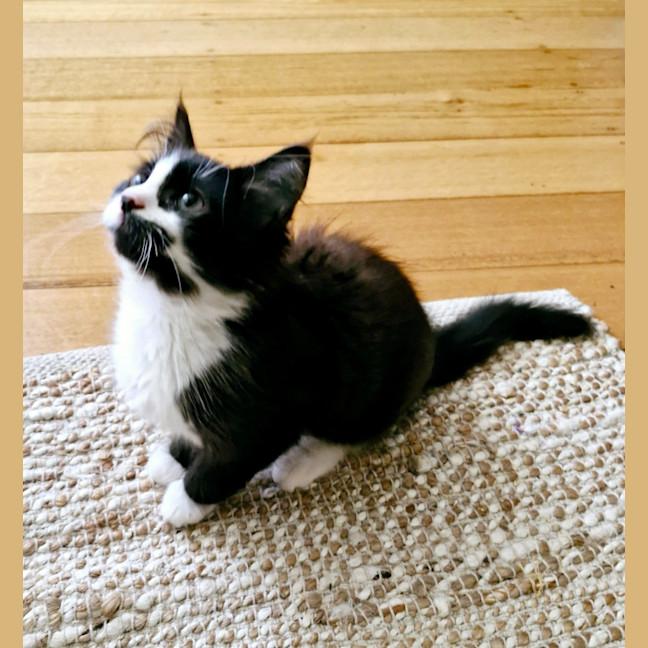 Photo of Mina