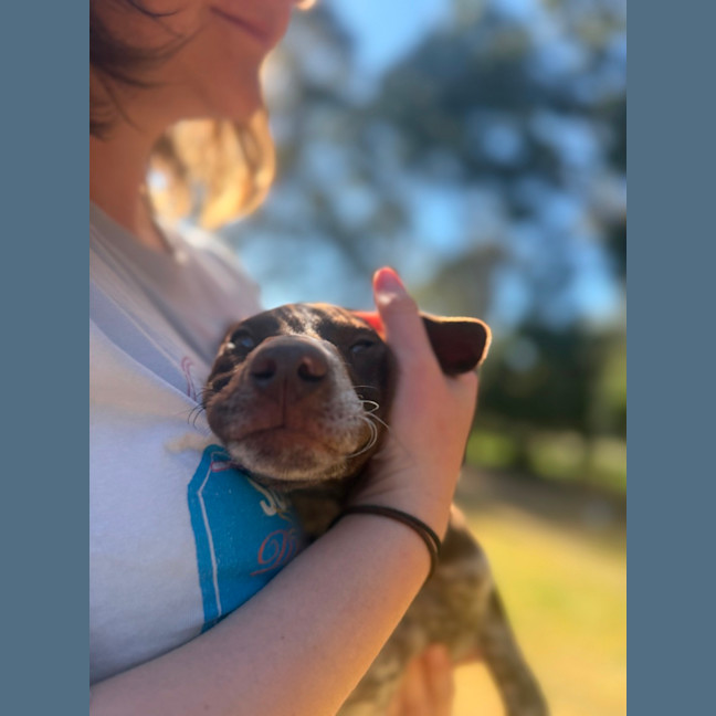 Photo of Buddy