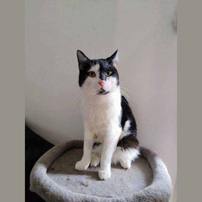 Photo of Clyde
