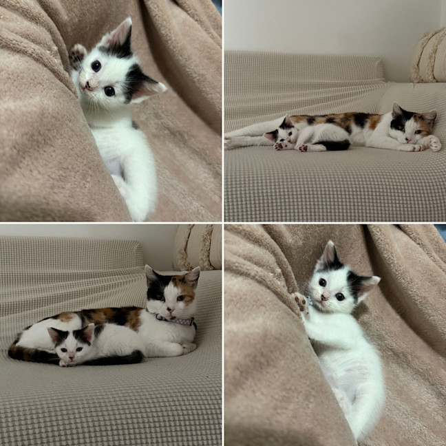 Photo of Margo (With Josie)