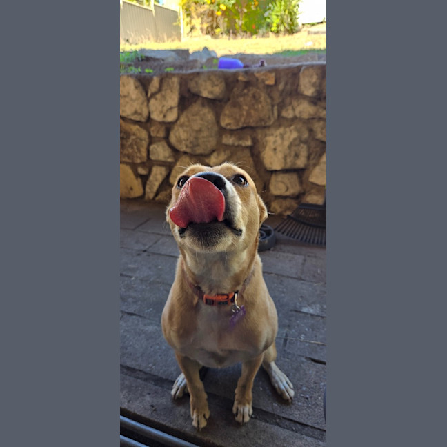Photo of Thor