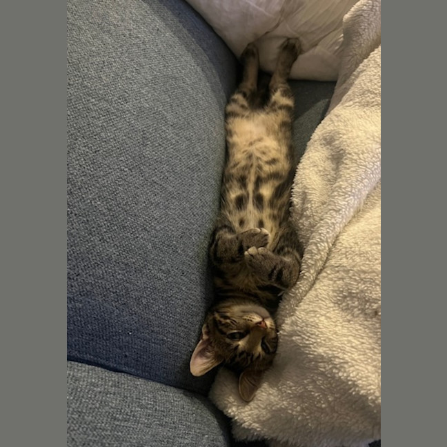 Photo of Louie