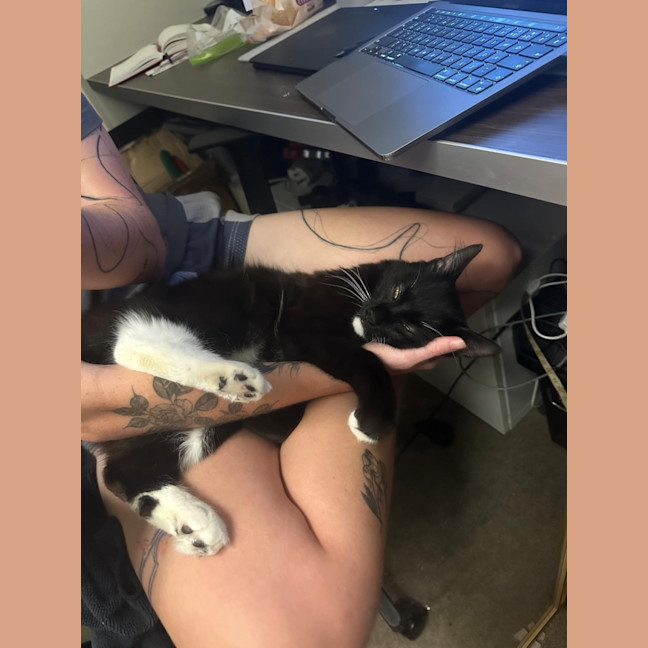 Photo of Daddy Mikey 