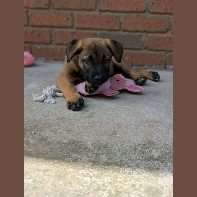 Photo of Astrid