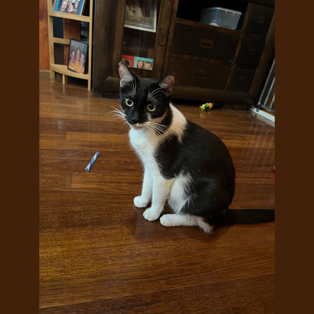 Photo of Mo