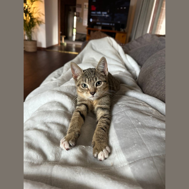 Photo of Yoshi
