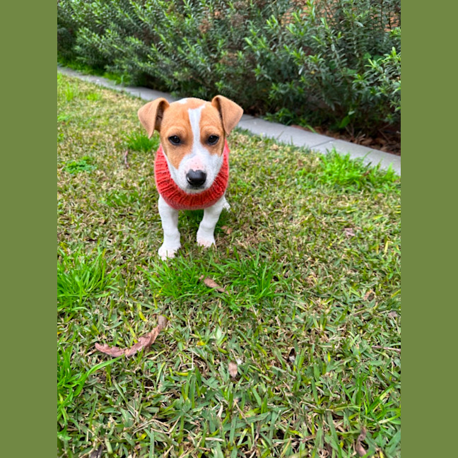 Photo of Gary 