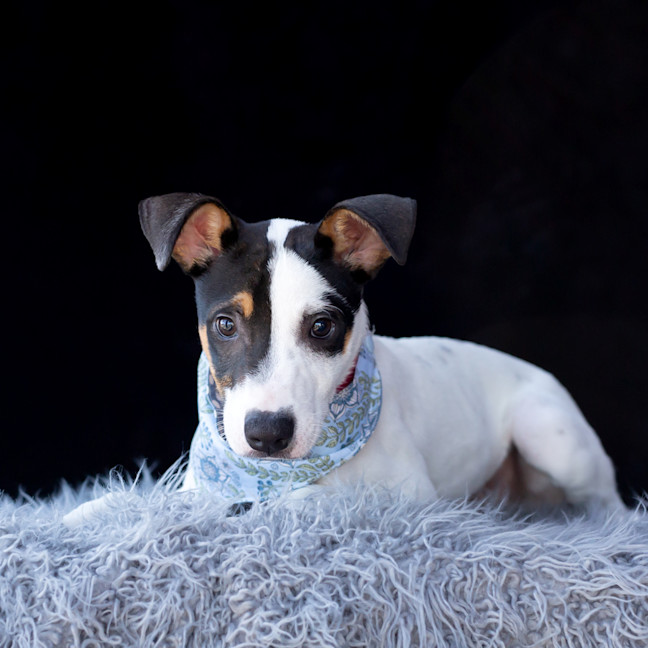 Photo of Raffi