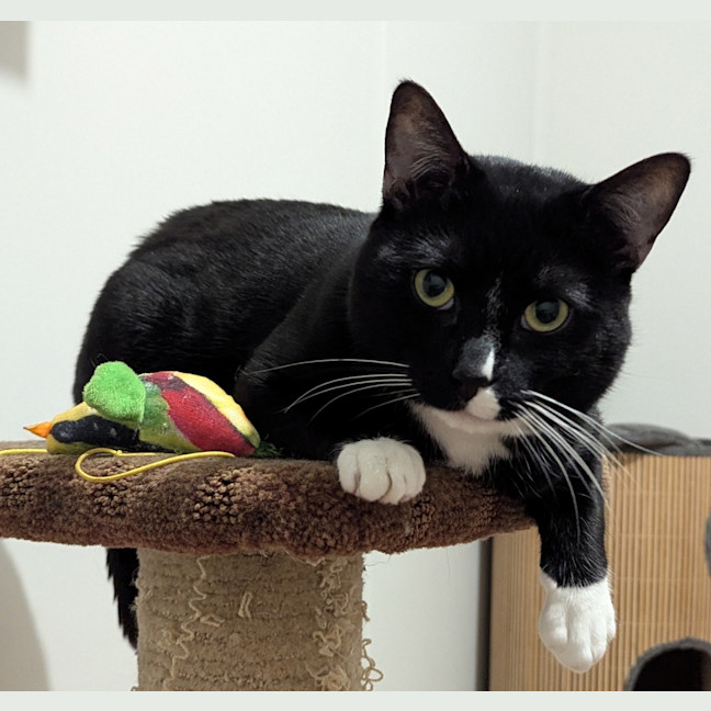 Photo of Binks