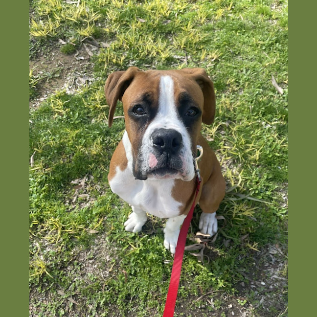 Photo of Russell Coight