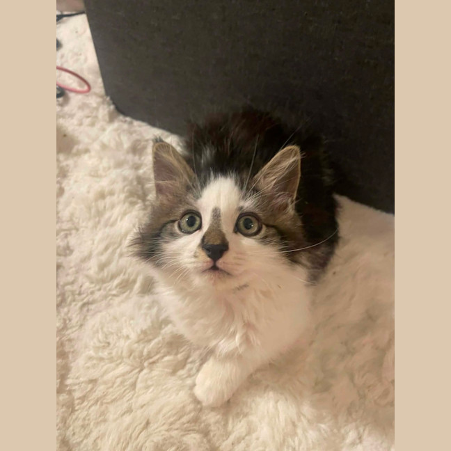 Photo of Mickey 