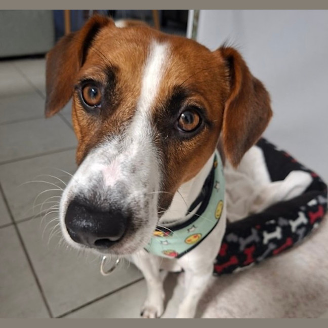 Photo of Leroy