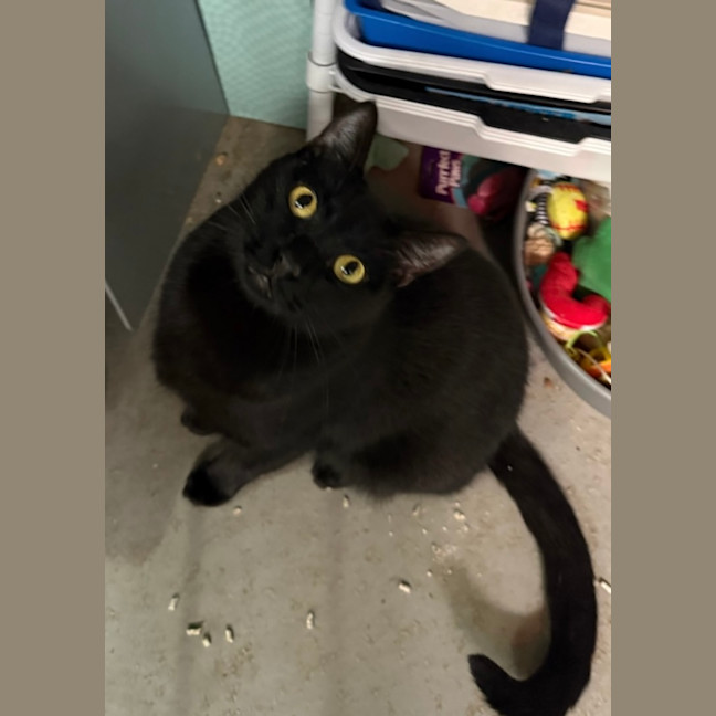 Photo of Taco