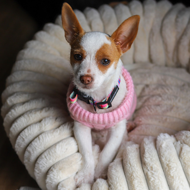 Photo of Minnie