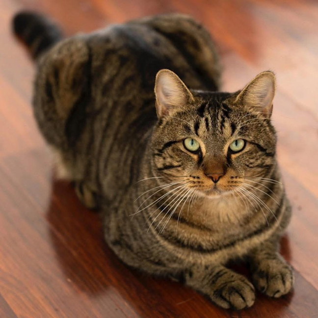 Photo of 12269   Odin