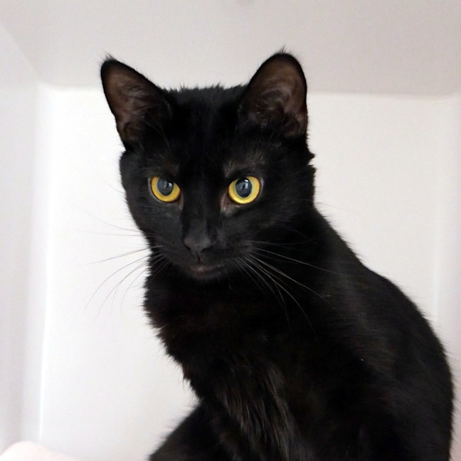 Photo of Sabrina Rsuk013240