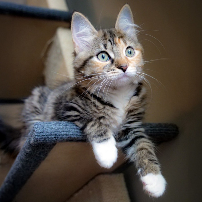 Photo of Barbie