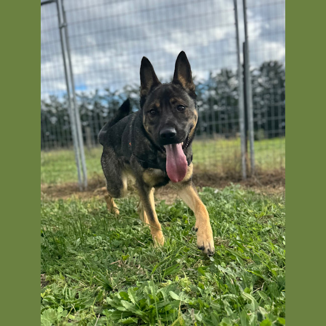Photo of Cash