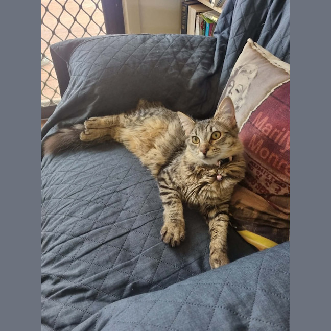 Photo of Dora