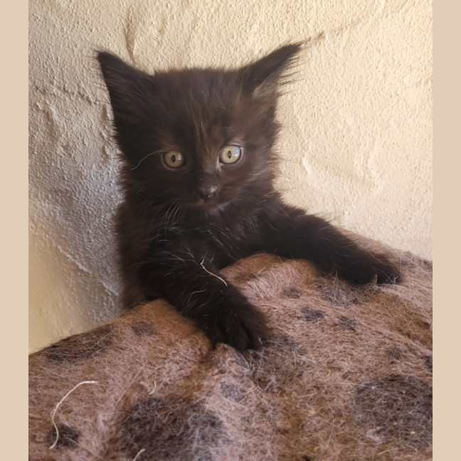 Photo of 💗 Annie 💗