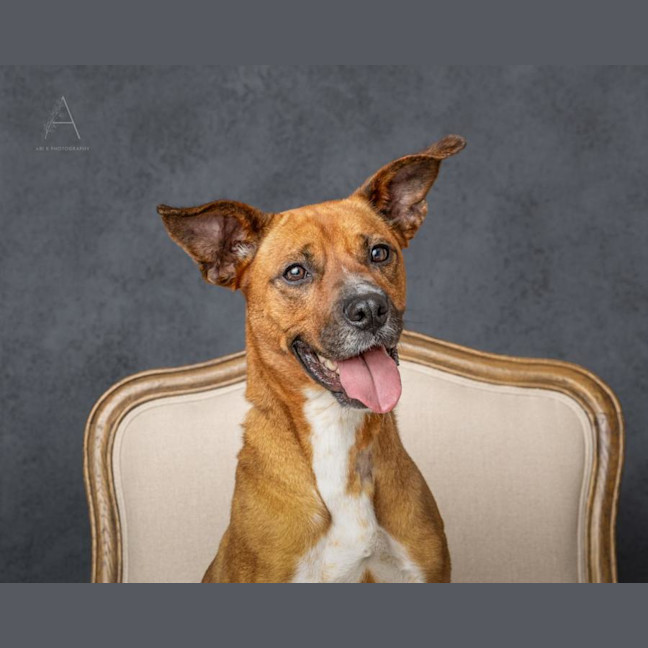 Photo of Athena