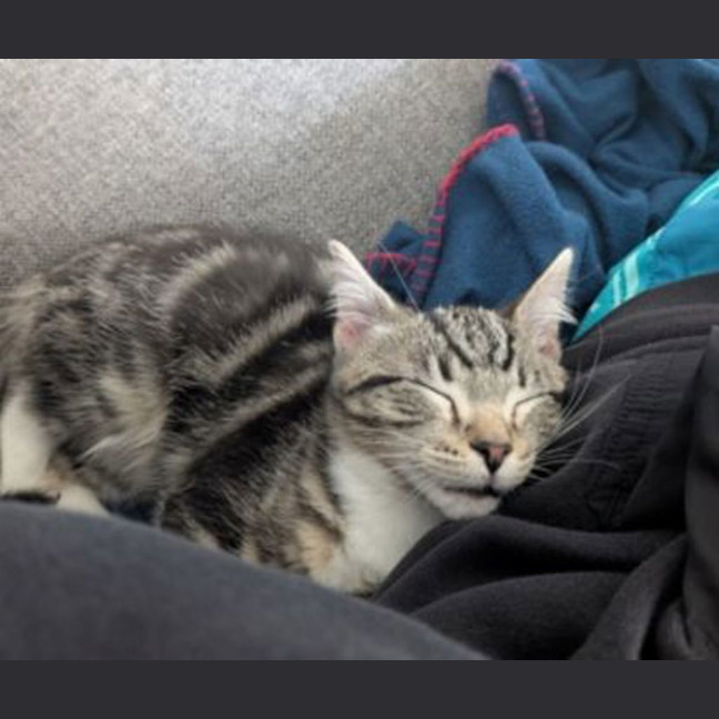 Photo of Hazel