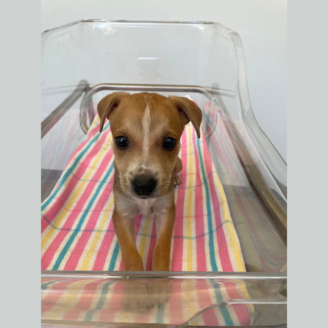 Photo of Tilly
