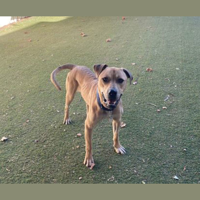 Photo of Mike Wheeler