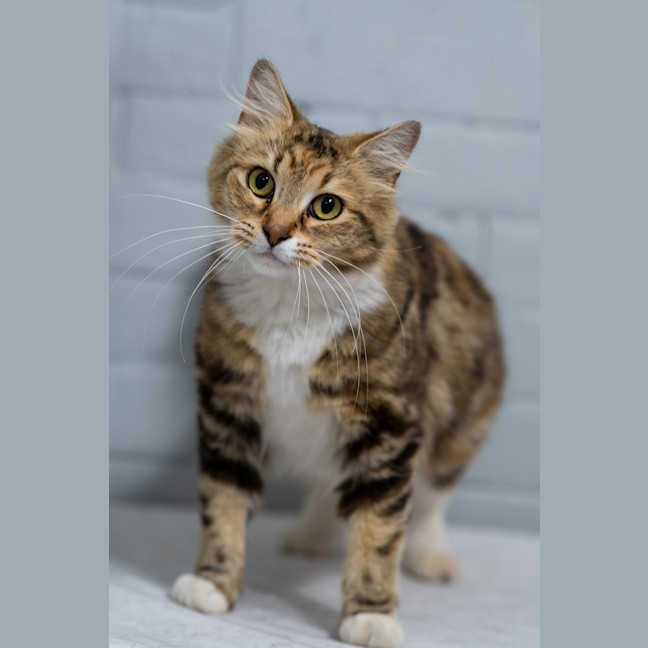 Photo of Mabel