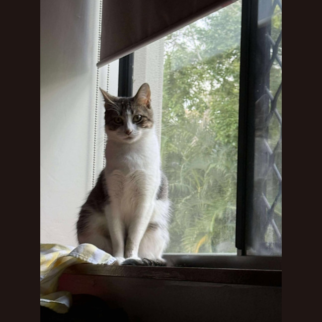 Photo of Bianca