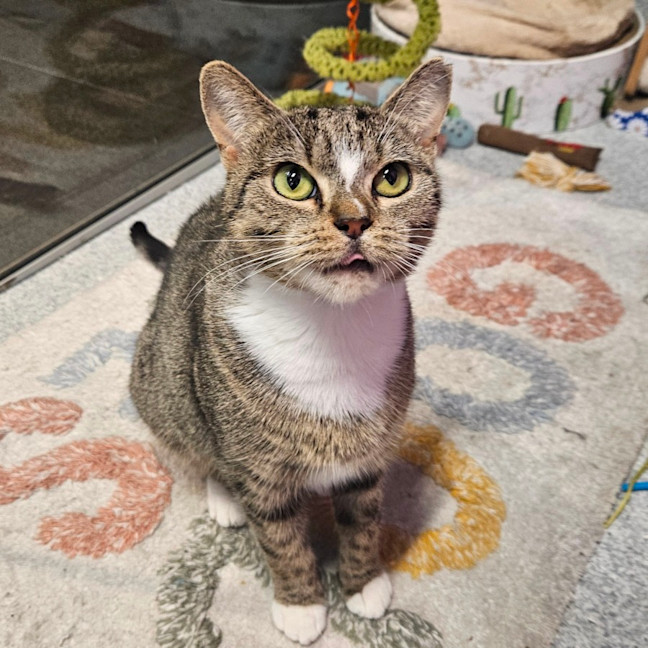 Photo of Kirby