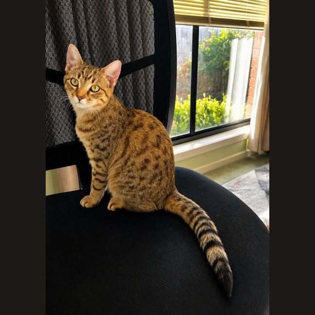 Photo of Ethel