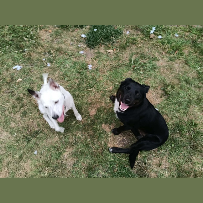 Photo of Augustus May Who