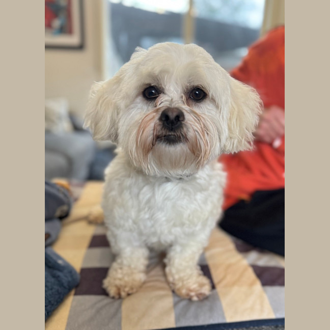 Photo of Thelma
