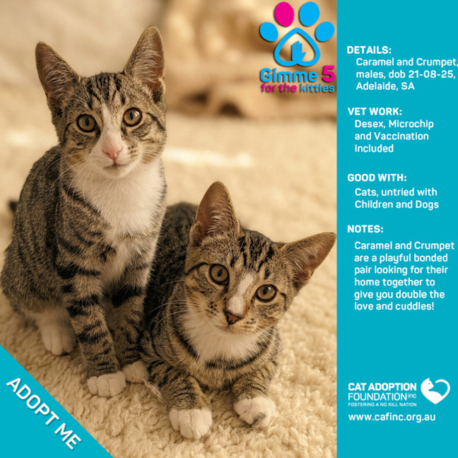 Photo of Caramel And Crumpet