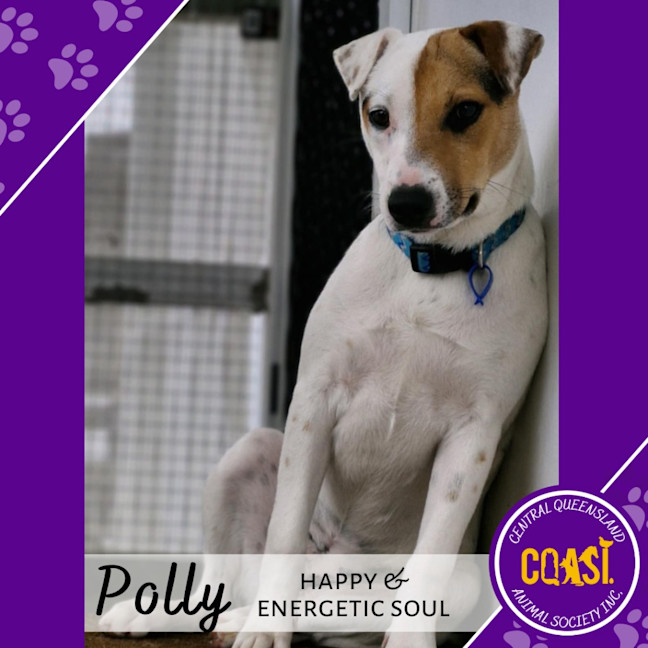 Photo of Polly 3