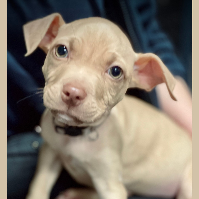 Photo of Milky