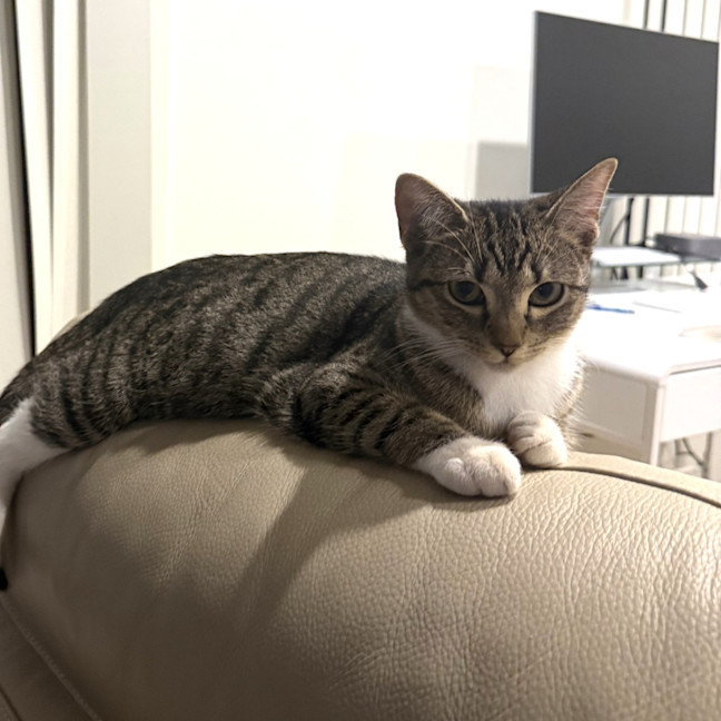 Photo of Andi