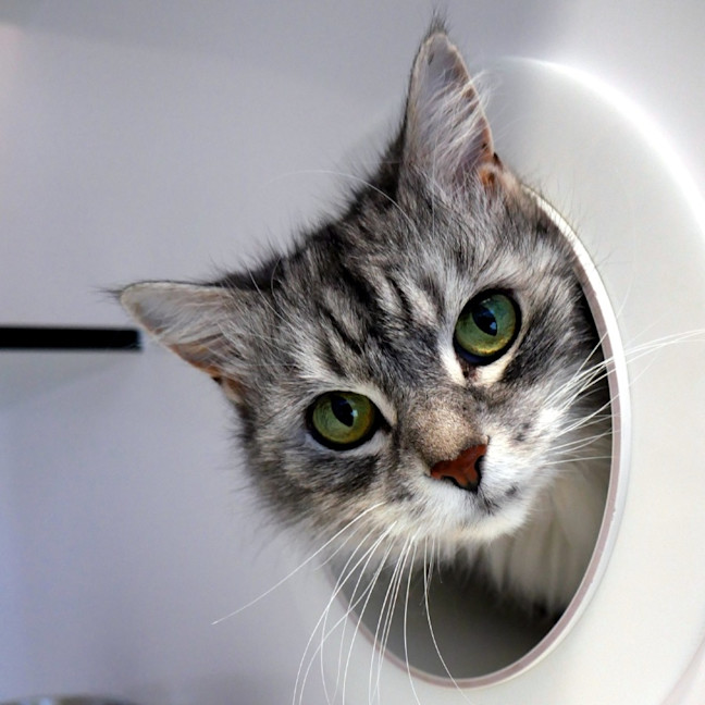 Photo of Mia Sua014521