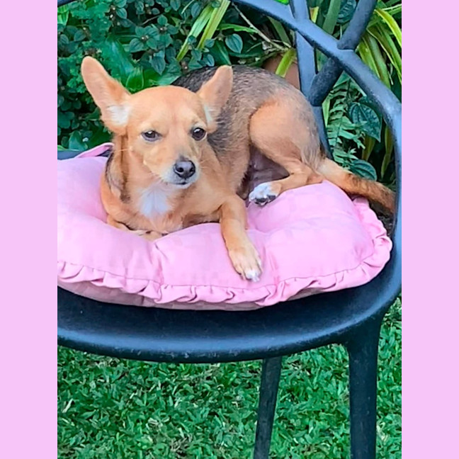 Photo of Tiny