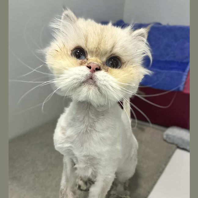 Photo of Cloud
