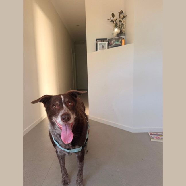 Photo of Hugo 