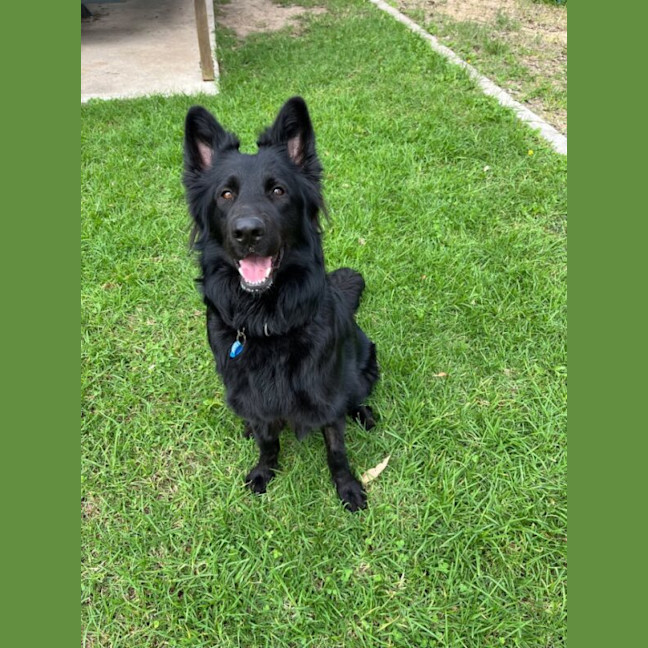 Photo of Roxy