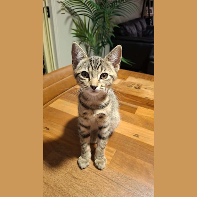 Photo of Hazel