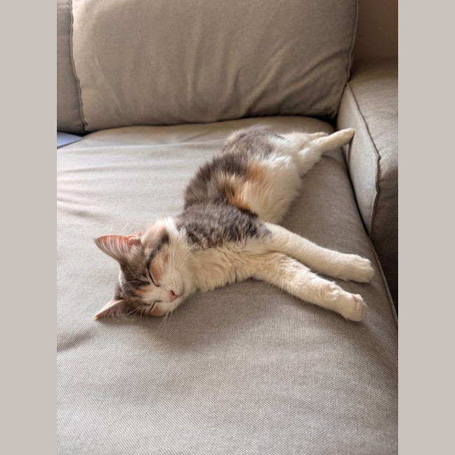 Photo of Mochi & Duman