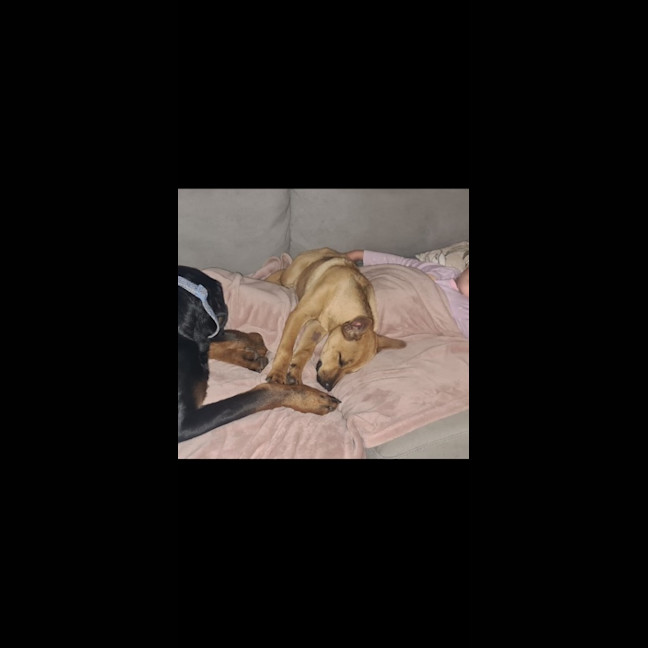 Photo of Tilly (Tandi)