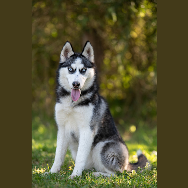 Photo of Elsa
