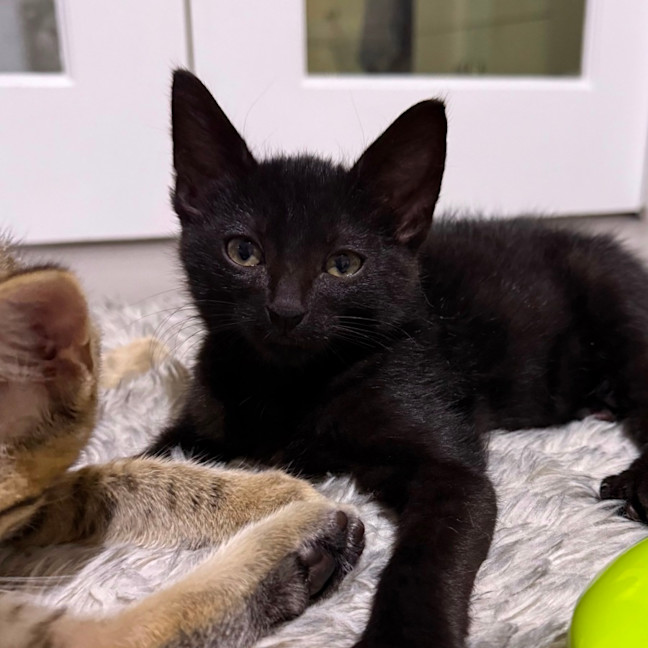 Photo of Elliott 🥥